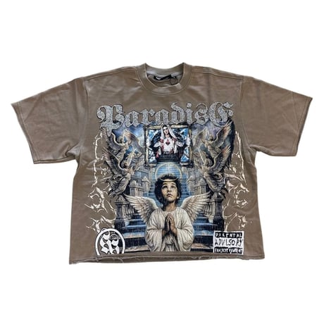 米国ブランド REBEL MINDS レーベルマインド Cropped T-Shirts クロップドTシャツ (CropT36)