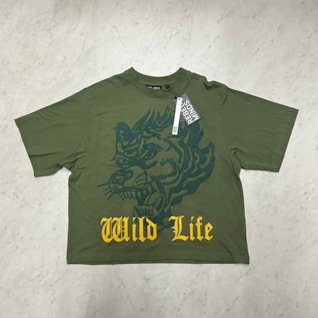 米国ブランド REBEL MINDS レーベルマインド Cropped T-Shirts クロップドTシャツ (CropT10)