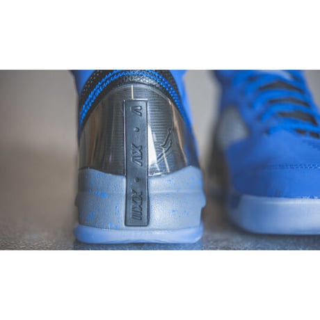 日本未発売 NIKE AIR JORDAN エア ジョーダン FUTURE FLIGHT REMIX  ハイブリッド スニーカー 青