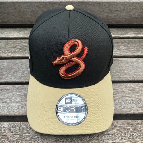海外限定 Newera ニューエラ 9Forty A-Frame Aフレーム ARI Backs ダイヤモンドバックス 25th Anniv. (940-68)