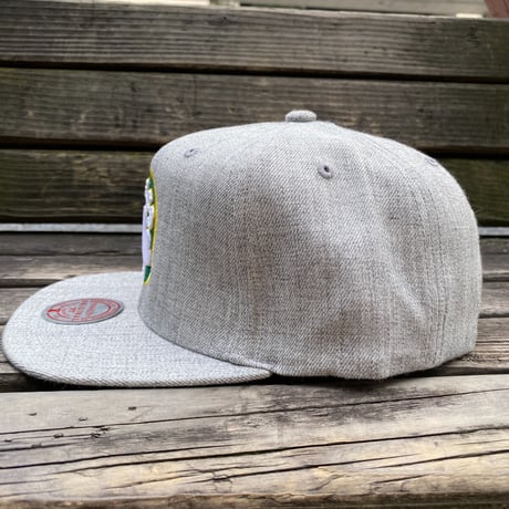 Mitchell&Ness ミッチェル&ネス NBA ボストン セルティックス Celtics  スナップバックキャップ グレー