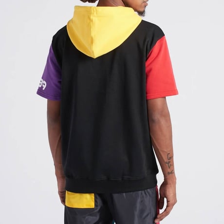 日本未入荷 ブラックピラミッド  BLACK PYRAMID ハーフジッパー 半袖 プルオーバー パーカー 紫 クレイジーカラー クリスブラウン