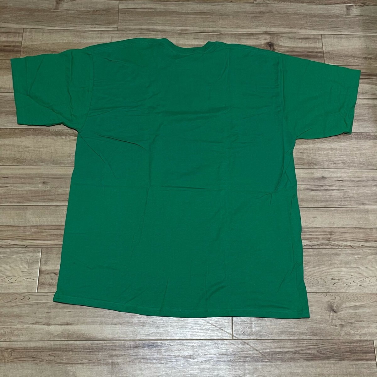 2XL】Stussy ステューシー 半袖 SNAKE PIT スネーク Tシャツ 緑 2XL】Stussy ステューシー 半袖 SNAKE PIT スネーク Tシャツ 緑