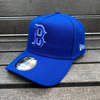 限定 pring TSモデル MLB公式 タンパベイ レイズ NEWERA 限定 pring TSモデル MLB公式 タンパベイ レイズ NEWERA