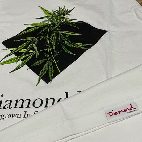 【L】 米国製 ダイヤモンドサプライ Diamond Supply Co タンクトップ 白 Homegrown  ストリート (TT3)