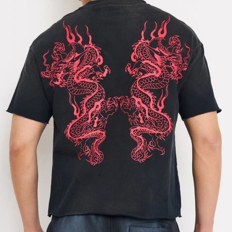 USA仕様 Ed Hardy エドハーディ Mary Dragons Boxy Cropped T マリア 龍 クロップ Tシャツ (EdT4)