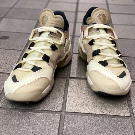 NIKE ナイキ JORDAN BRAND ジョーダン WESTBROOK ウェストブルック Why Not.5 (AJ65)