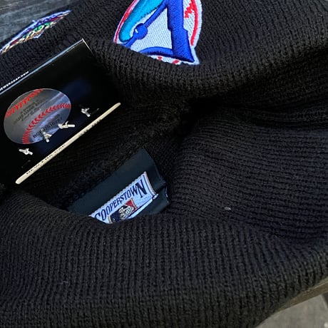 USA限定 NEWERA ニューエラ MLB ワールドシリーズ ニットキャップ Jays ブルージェイズ