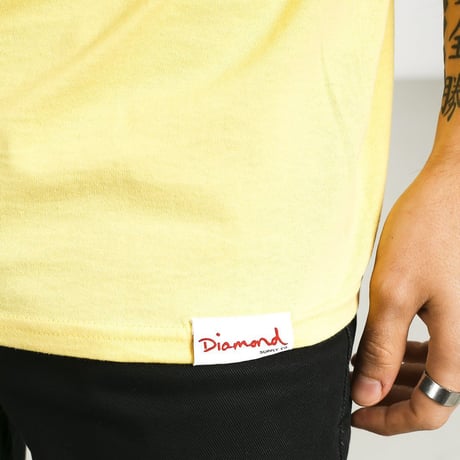 【L】 Diamond Supply Co ダイヤモンドサプライ 半袖 Tシャツ FlamingoSign フラミンゴ LA