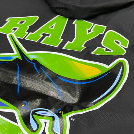 USA限定 Mitchell&Ness MLB タンパベイ レイズ Team Origins ハーフZIP ウィンドブレーカー