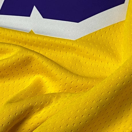 米国規格 NIKE ナイキ Lakers レイカーズ 23 レブロンジェームズ オーセンティック ジャージー