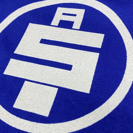 LA発 NIPSEY HUSSLE 二プシーハッスル グラフィック 半袖 Tシャツ Victory Lap (GTS55)