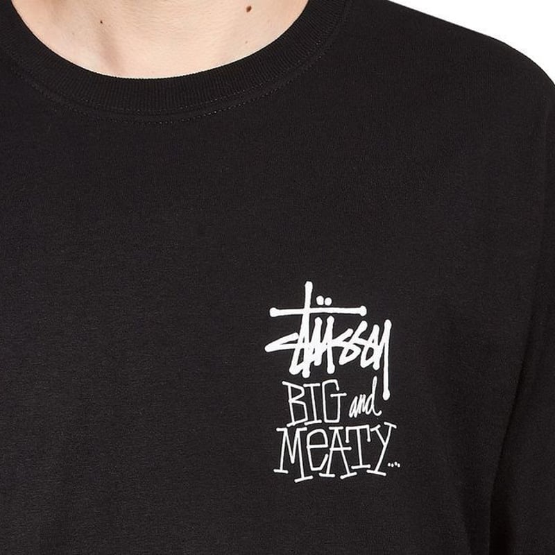 Stussy ステューシー BIG MEATY ビッグマイティ 恐竜 ショーンフォント