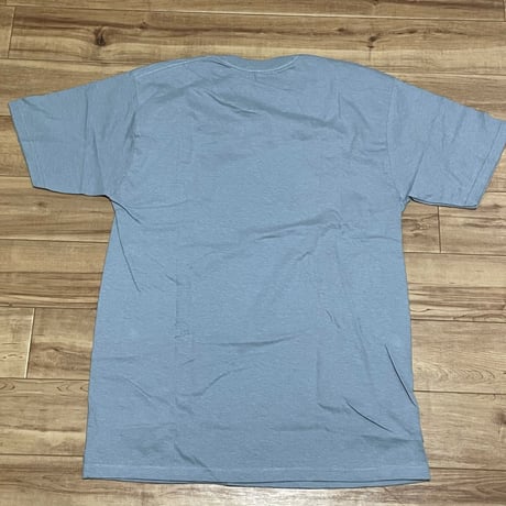 【M】 Stussy ステューシー 半袖 Dots ヴィンテージロゴ Tシャツ スレートブルー ラグナビーチ (55)