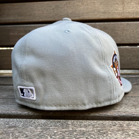 USA限定 NEWERA 59FIFTY ニューヨーク ヤンキース NY Yankees GRB MLB (19-20)
