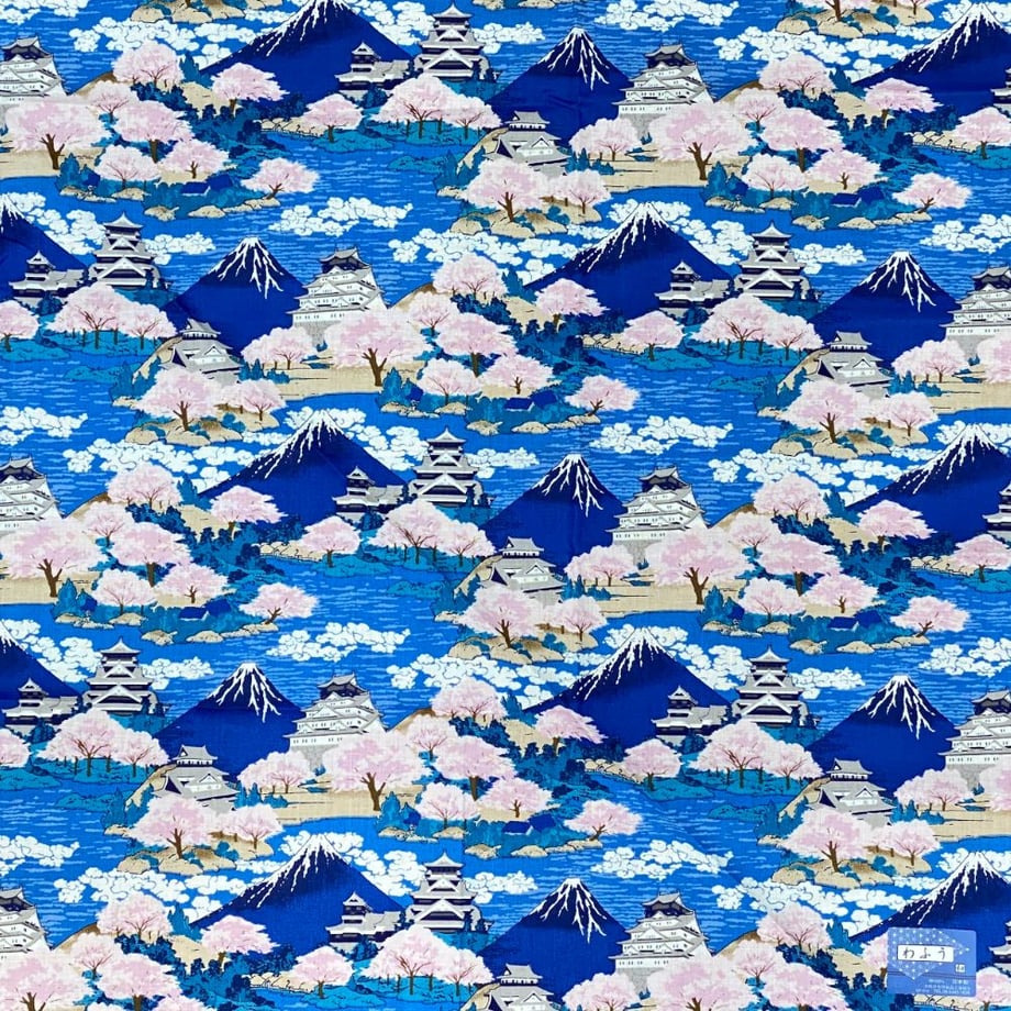6a003e44f0ab5a7118ec2d0c