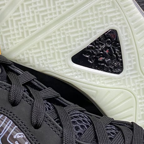 限定 NIKE ナイキ LeBron8 SPACE JAM ナイキ レブロン8 ルーニーテューンズ