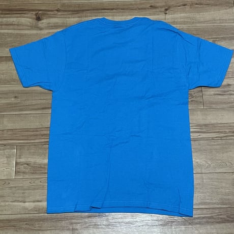 【M】 Stussy ステューシーPANTHERS パンサー 半袖 グラフィック Tシャツ 青 ブライトブルー (60)