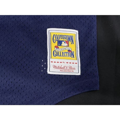 Mitchell&Ness ミッチェル&ネス BPジャージ MLB 公式 デトロイト Tigers タイガース  Vネックジャージ