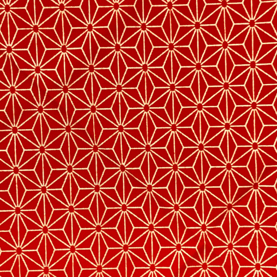 6a006a76cb9db81a31e2fa85