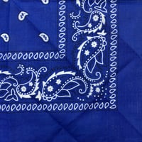 ペイズリー バンダナ Paisley Bandana ヴィンテージ調 大判サイズ 54cm 青 (BNDN102)