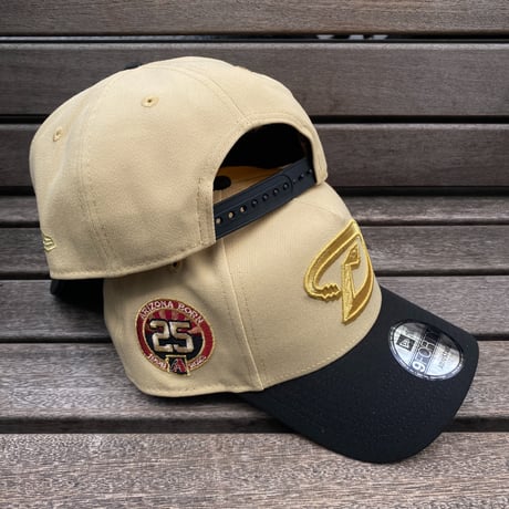 海外限定 Newera ニューエラ 9Forty A-Frame Aフレーム ARI Backs ダイヤモンドバックス 25th Anniv. (940-67)