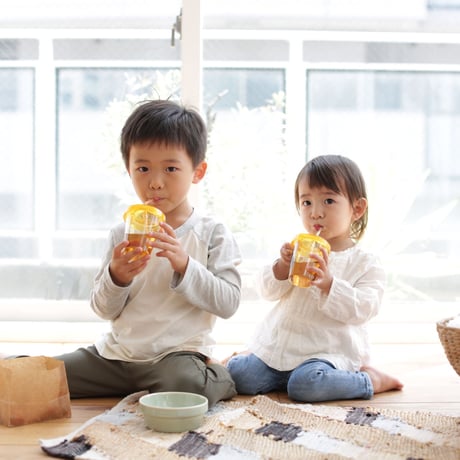 NANASO 菜々素  ６箱セット（合計１２本 ６ヶ月分）| 6 box contains 12 bottles (6 month supply)