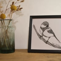 日高あゆみ　ましかくポスター　小鳥(額いり)15cm