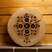 我楽多芸術「木製額入り虫食い落ち葉」 | 修善寺画廊