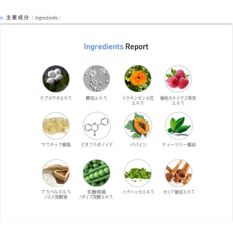 プラセン エンザイム サブ アシッド ウォッシュパウダー 80g