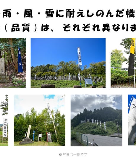 小早川秀秋 「関ケ原古戦場風雪幟旗」関ケ原の風雪に耐え忍んだ風合いのある幟旗（各陣跡等関ケ原の古戦場に掲げてあった幟旗です。多少の汚れ、破れ、色あせ等があります。クリーニング済）