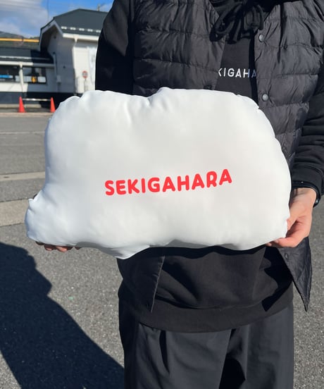 ゆるバスクッション