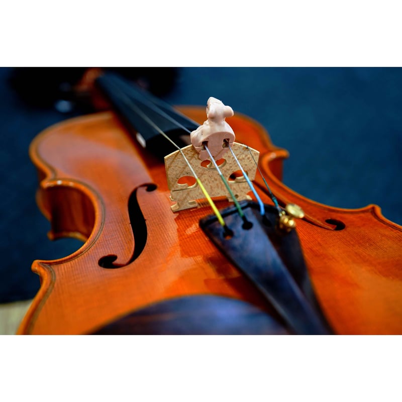 VIOLIN MUTE】MOUSTRO | MATSUO & Co. ONLINE STORE