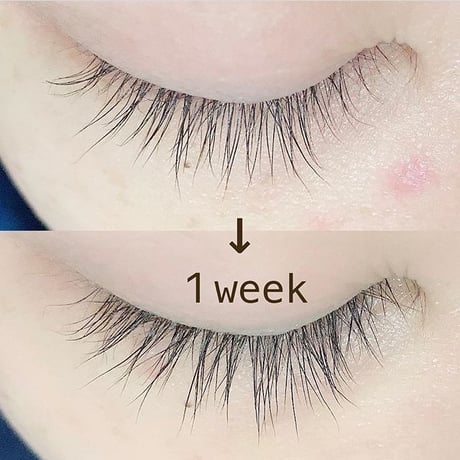 Bamiru eyelid serum バミルアイリッドセラム