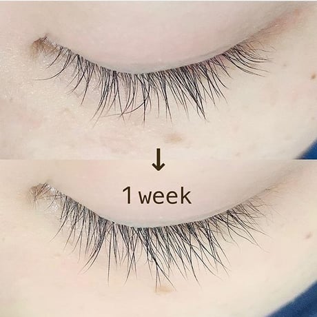 Bamiru eyelid serum バミルアイリッドセラム