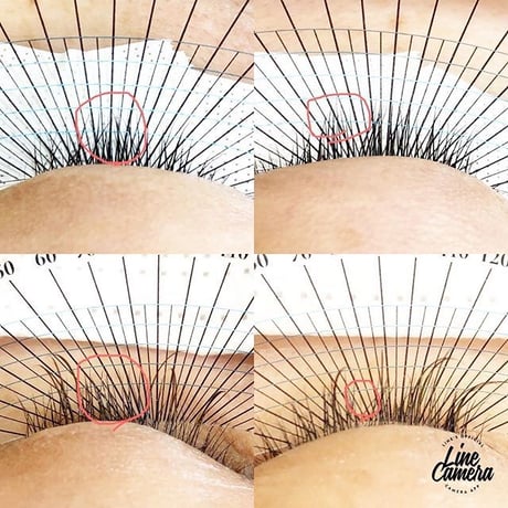 Bamiru eyelid serum バミルアイリッドセラム