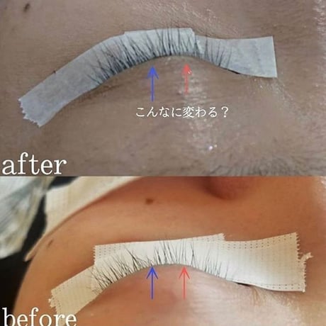 Bamiru eyelid serum バミルアイリッドセラム