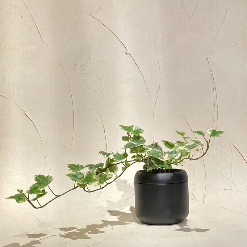 藤田金属工業】PLANTPOT HACHI 2号サイズ | 天満天神MAIDO屋 ONLIN
