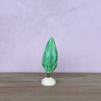 【1点もの】コニファー