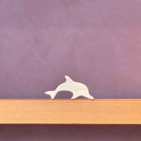 平たい動物「イルカ」
