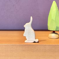 平たい動物「うさぎ」