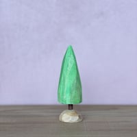 【1点もの】コニファー