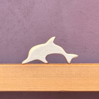 平たい動物「イルカ」