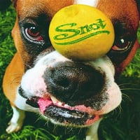 【USED】SNOT  『Get Some』(CD)