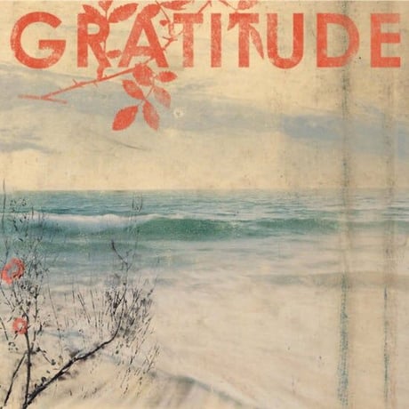 GRATITUDE 『S/T』(LP)