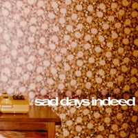 【USED】sad days indeed 『S/T』(CD)