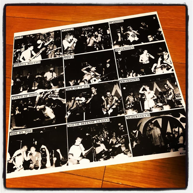 V.A. 『NEW YORK CITY HARDCORE -THE WAY IT IS-』(L