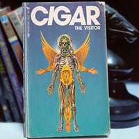 CIGAR 『THE VISITOR』(LP)(DLコード付)