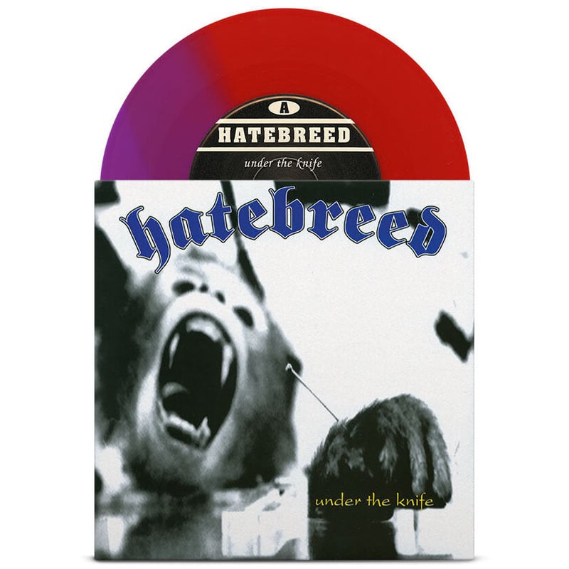 Hatebreed ‎– Under The Knife 7inch Amazon.co.jp: Under the Knife: ミュージック