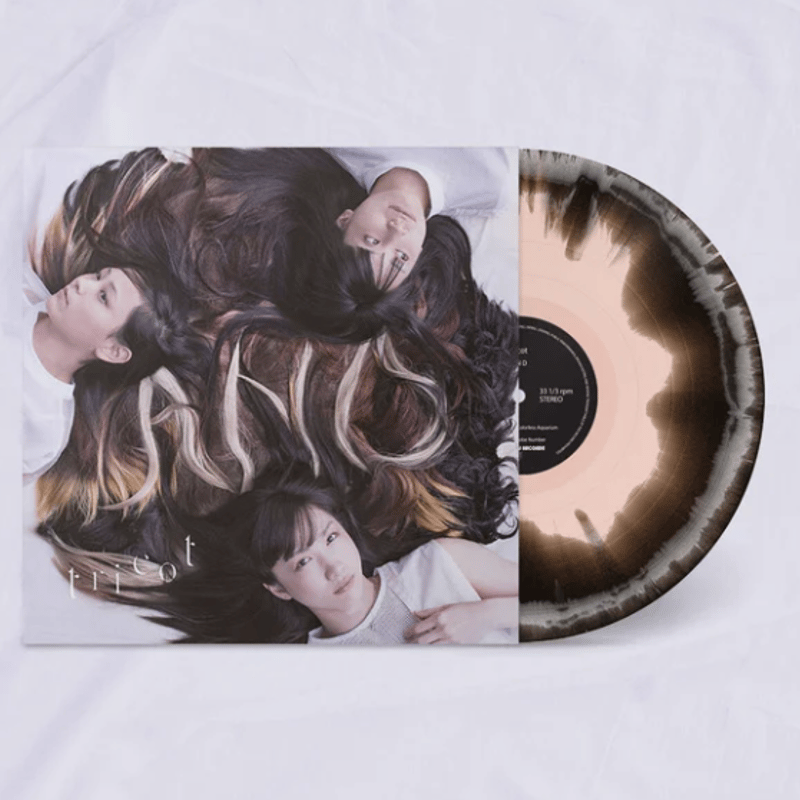 tricot 『AND』(LP) | TIME FLIES RECORDS